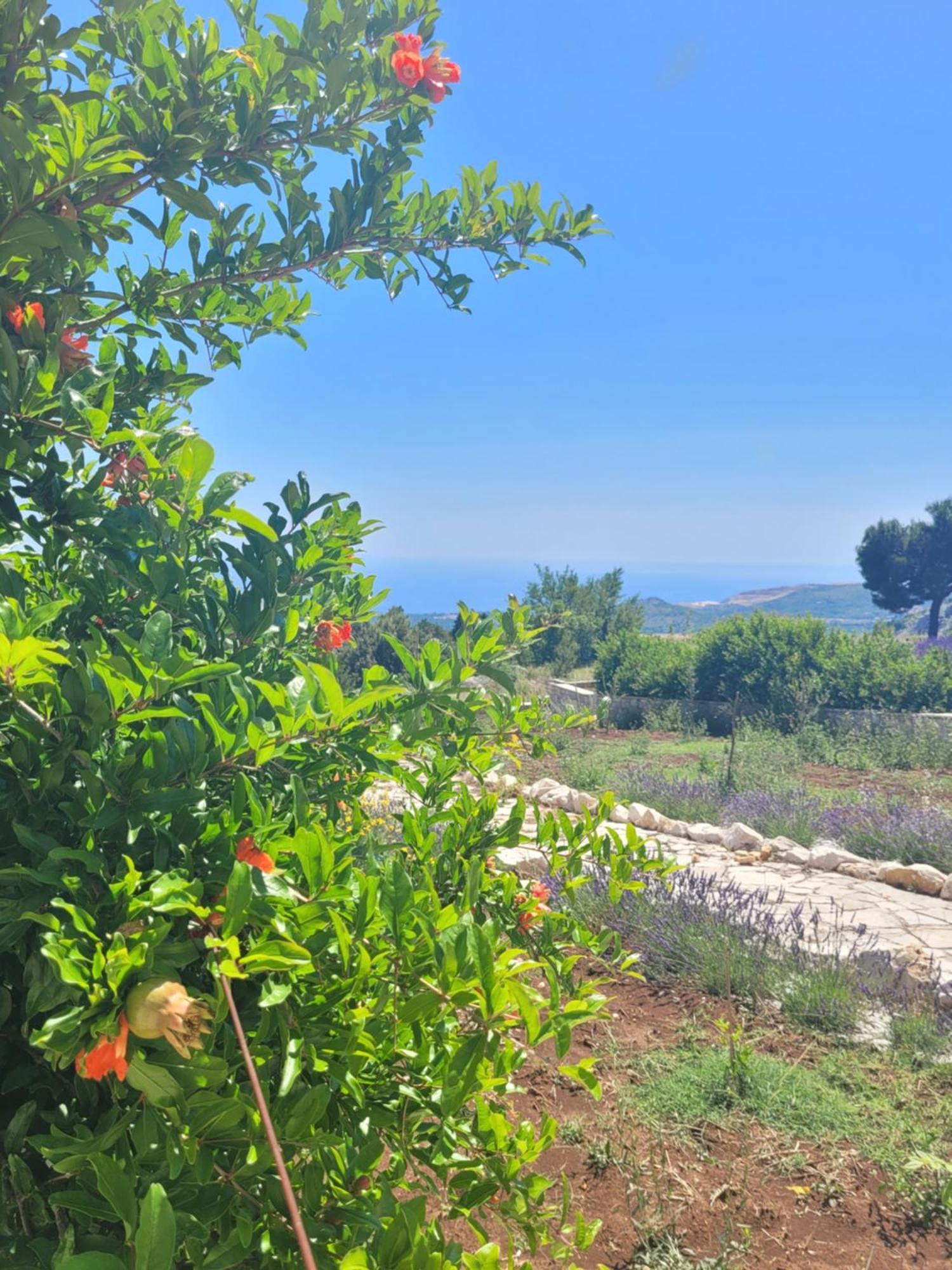 Villa Bosna Near Dubrovnik Very Beautiful Villa Entirely Privatized Swimming Pool, Jacuzzi, Sauna, Billiard, Ping-Pong Ivanica Bagian luar foto